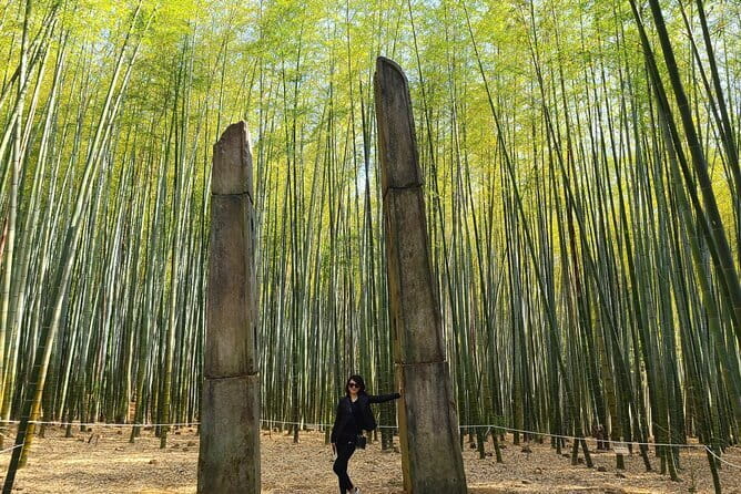 1 Day Private Busan Guided Tour - Price and Value: Is $300 Per Person Worth It?