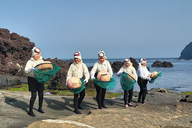 2 Day Private pictures of Nature Tour very experience taxi tour - Tea, Windmills, and Coastal Stops: O’sulloc to Sinchang to Yongmeori