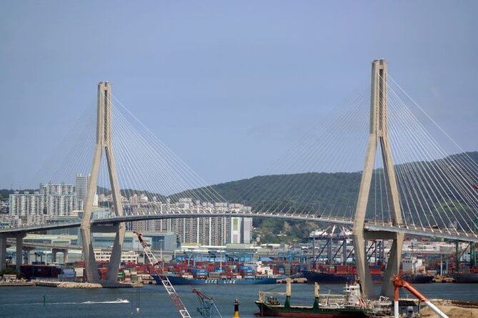 2-DAYS Busan Customized and Included Night tour - Key highlights that make this tour feel worth your time