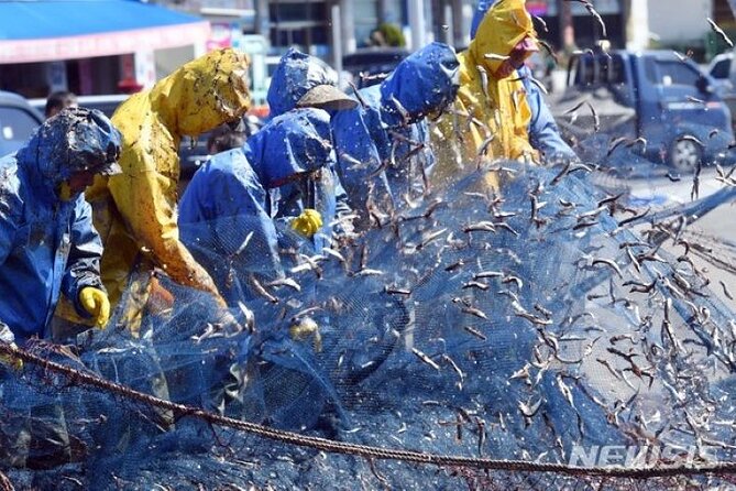 2-DAYS Busan Customized and Included Night tour - Songdo to Gamcheon: classic Busan coastal nostalgia