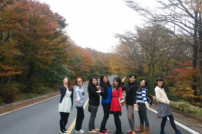 2 Days Jeju Island Private Taxi Tour (East/West of Jeju Island ) - Price and value: is $680 per group worth it?