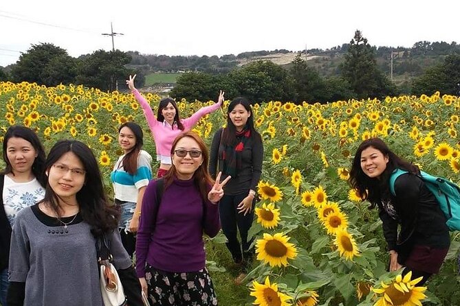 2 Days Private Taxi Tour - West and South of Jeju Island - Price and value for a group of up to 4