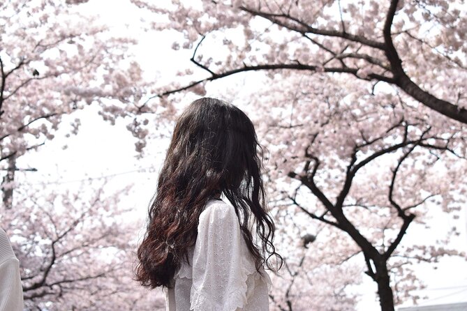2025 Cherry Blossom East Day Tour in Jeju with UNESCO - Key highlights to know before you go