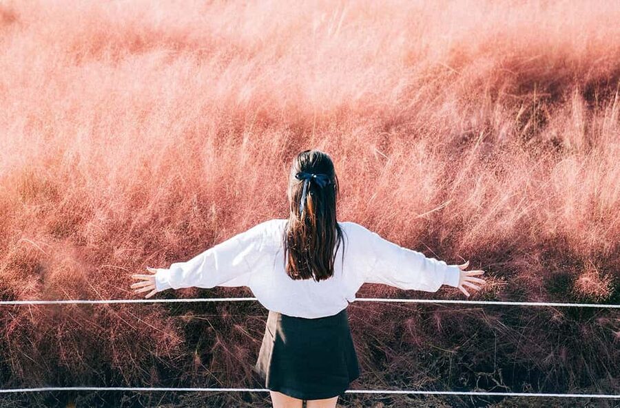 2025 Jeju Autumn Tour with Pink Muhly Festival - Key highlights you can’t miss