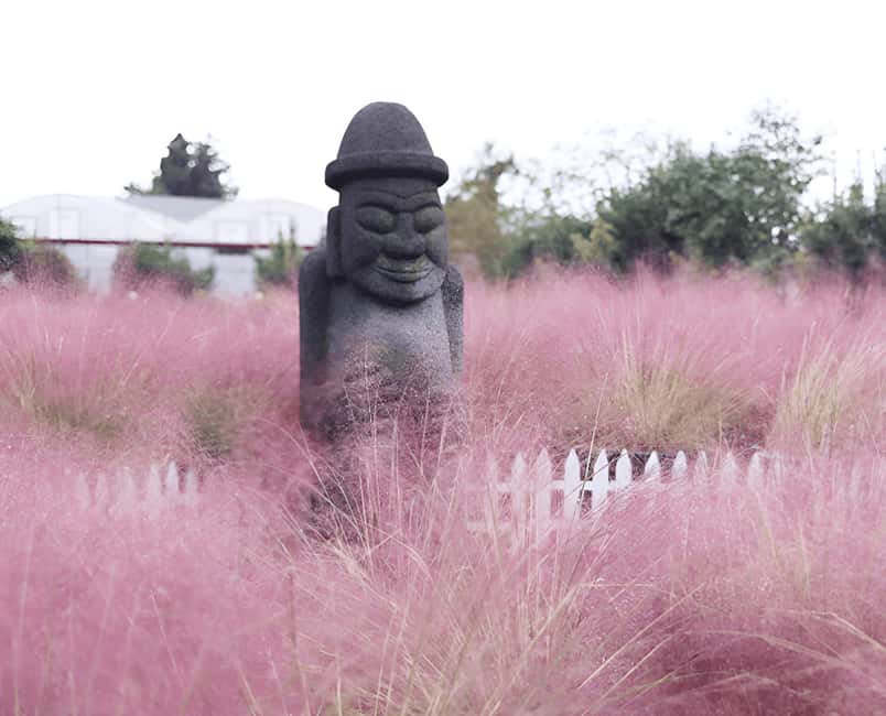 2025 Jeju Autumn Tour with Pink Muhly Festival - Price and value: what you really get for $95