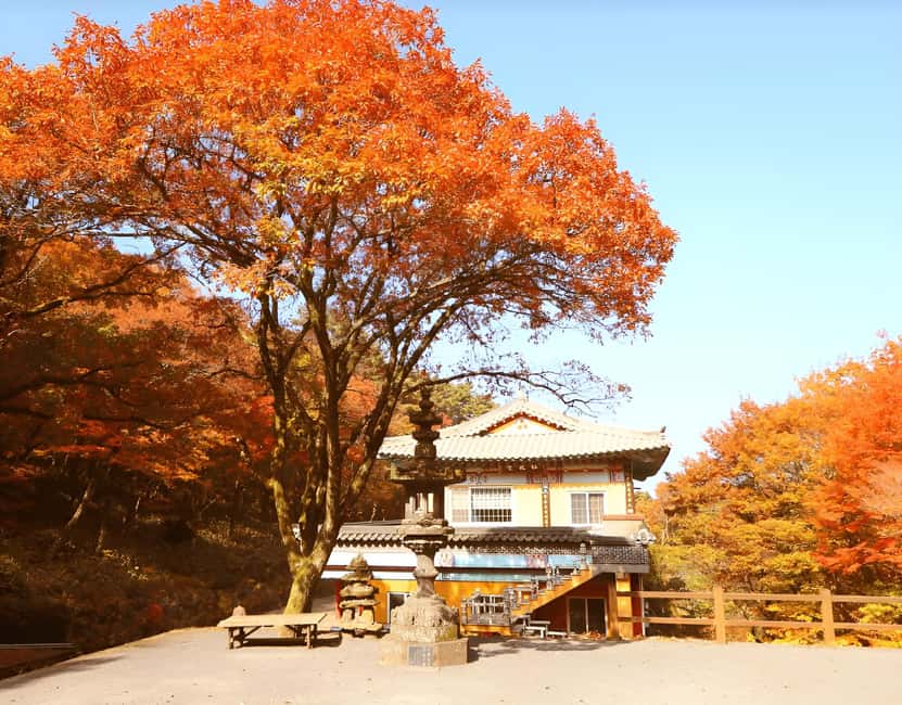 2025 Jeju Autumn Tour with Pink Muhly Festival - Ilchul Land and Micheon Cave, a cooler change of pace