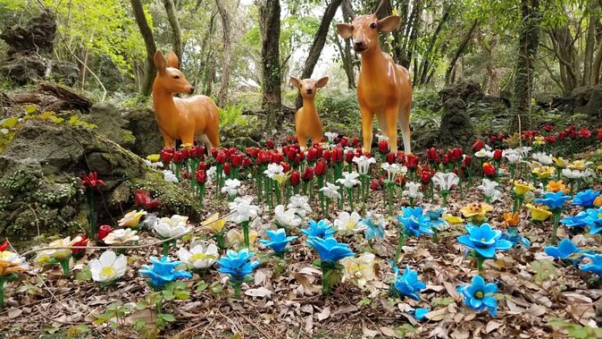 3 days Private Taxi Tour in Jeju Island - Key things to know before you go