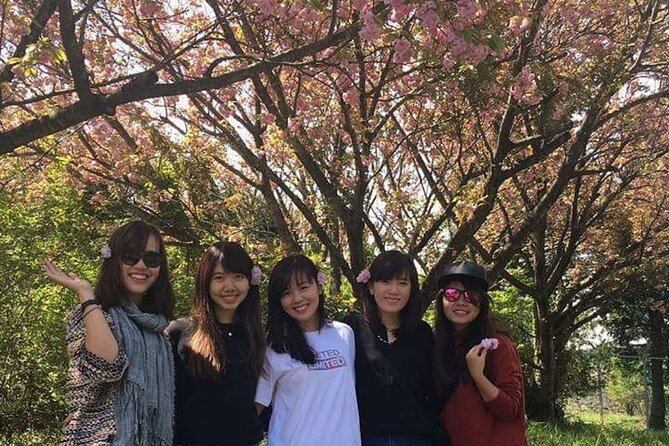 3 days Private Taxi Tour in Jeju Island - Day 2 South Jeju: Dokkaebi Road, Waterfalls, and Market Time in Seogwipo