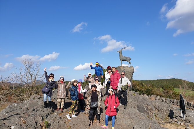 3 days Private Taxi Tour in Jeju Island - Price and Logistics: What the $960 Group Deal Really Means