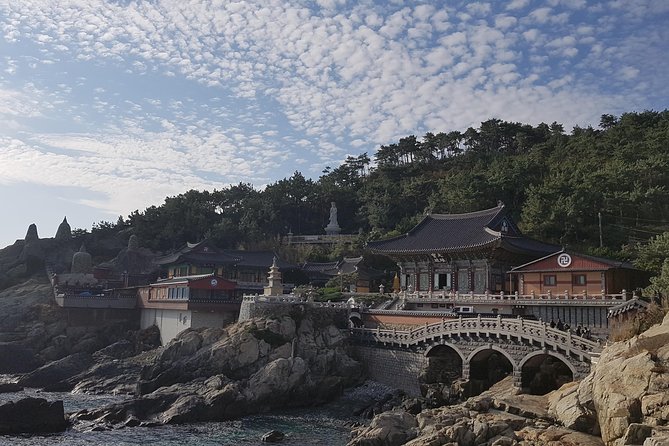 9-Days Tasty Journey Around South Korea Tour - Day 4: Tongyeong port chaos, a long cable car, and Busan night views from Hwangnyeongsan