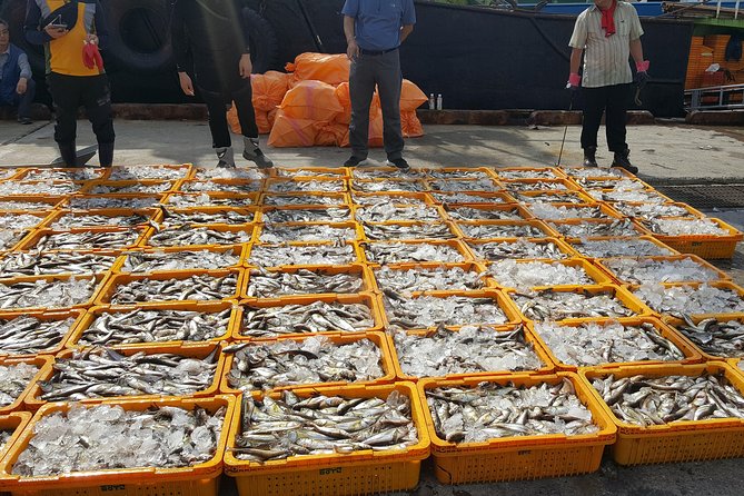 9-Days Tasty Journey Around South Korea Tour - Day 5: Haeundae Beach, Haedong Yonggungsa by the sea, and Gamcheon’s tombstone stairs