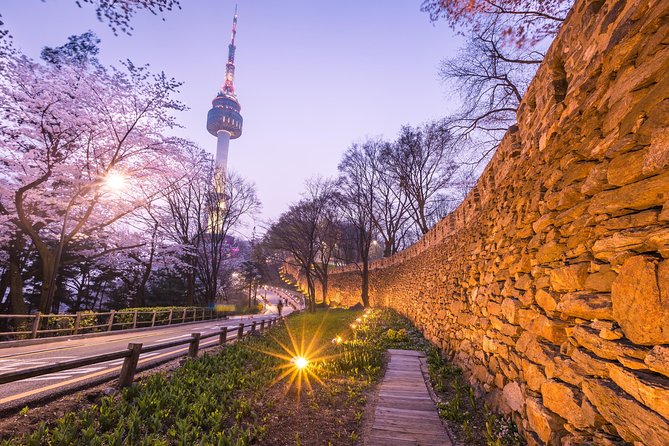 Afternoon Seoul: Hanok Vibes, Netflix Street Food & N Seoul Tower - Food, photos, and the guides who set the tone