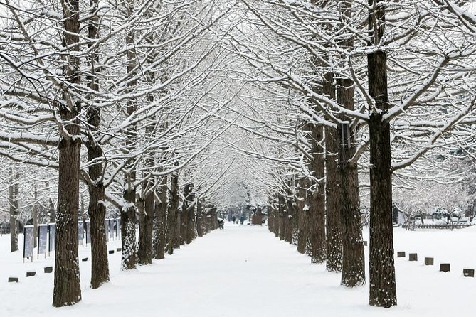 All Day Private Make your own plan tour to Nami Island and others - Nami Island in winter: scenery time that feels romantic without effort