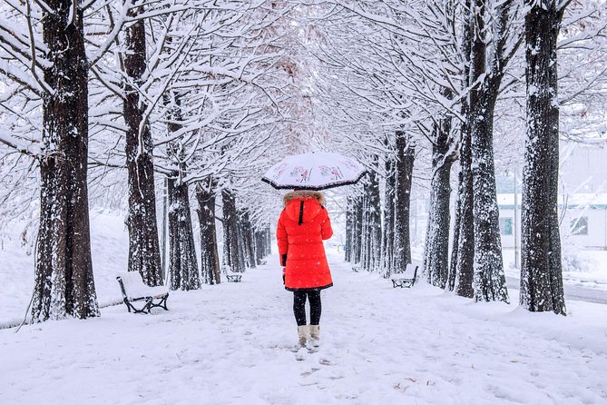 All Day Private Make your own plan tour to Nami Island and others - Garden of Morning Calm: when seasonal lights become the evening highlight