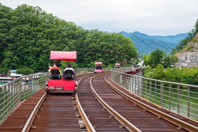 Alpaca World and Nami Island with Gangchon Rail Bike Tour - Alpaca World: Feeding Alpacas and Meeting the Whole Farm Cast
