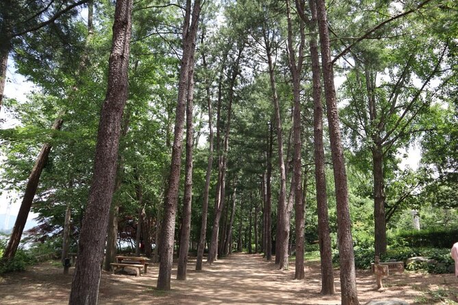 Alpaca World and Nami Island with Gangchon Rail Bike Tour - Lunch, Breaks, and Staying Comfortable on a 10-Hour Bus Day