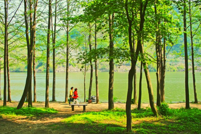 Alpaca World and Nami Island with Gangchon Rail Bike Tour - Getting There and Back: Hongik Univ Station Start, Hongdae Return