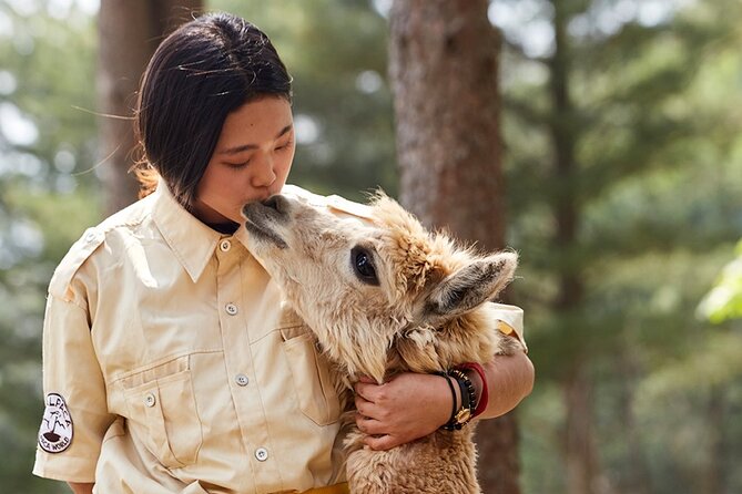 Alpaca World & Nami Island & Garden of Morning Calm One Day Tour - Getting there and timing: what the 10 hours feel like