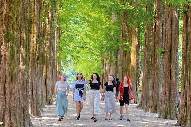 Alpaca World & Nami Island & Garden of Morning Calm One Day Tour - Nami Island: winter scenery, movie vibes, and photo power