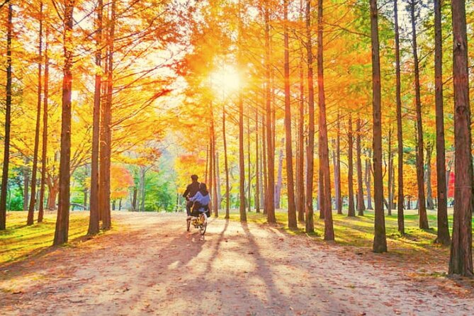 Alpaca World & Nami Island & Garden of Morning Calm One Day Tour - Price and value: why $78.52 can make sense