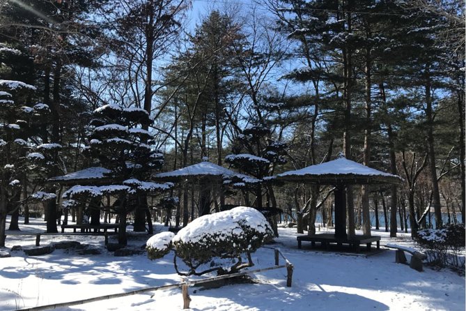 Alpaca World & Nami Island & Garden of Morning Calm One Day Tour - What to pack for this kind of day trip