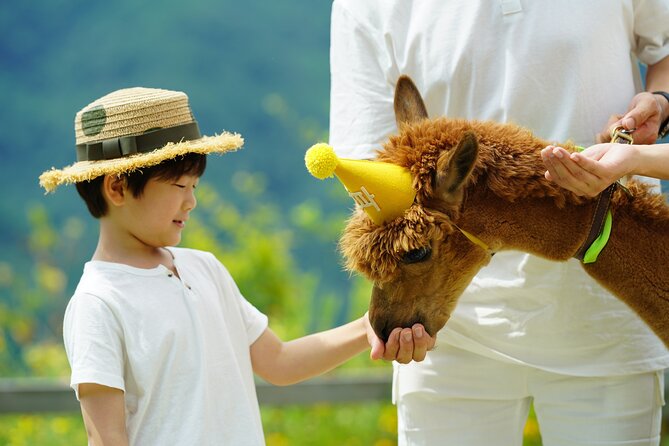 Alpaca World Tour with Nami Island (optional Railbike or Garden) - Why Alpaca World, Nami Island, and rail bikes make a smart Seoul day trip
