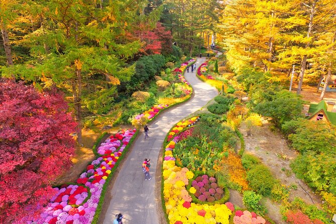 Alpaca World Tour with Nami Island (optional Railbike or Garden) - Nami Island’s tree-lined roads: what you do with 3 hours