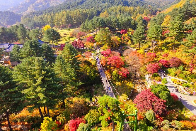 Alpaca World Tour with Nami Island (optional Railbike or Garden) - Gangchon Rail Park rail bike: what to expect and the private-cart option