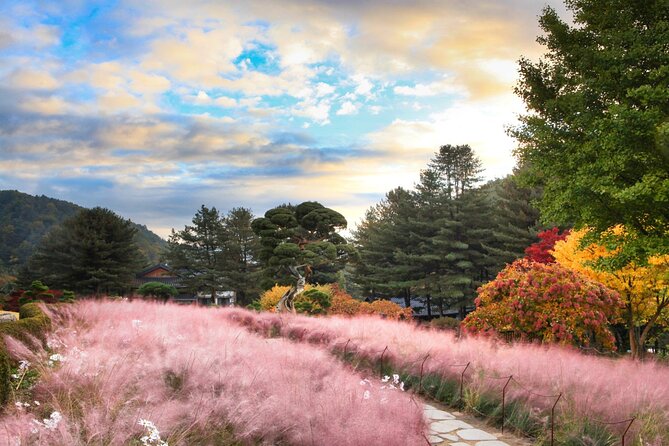 Alpaca World Tour with Nami Island (optional Railbike or Garden) - Garden of Morning Calm: daytime strolls and winter light festival timing