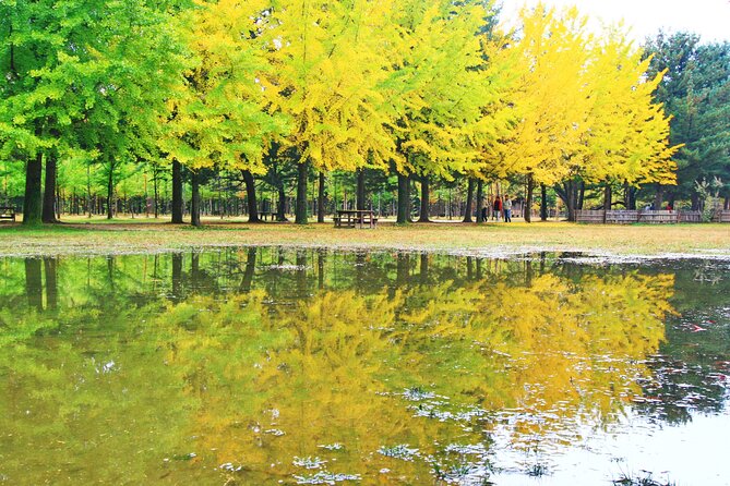 Alpaca World Tour with Nami Island (optional Railbike or Garden) - The Stay Healing Park and Starlight Festival under the night lights