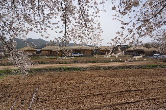 Andong Hahoe Folk Village [UNESCO World Heritage] Private Tour from Seoul - Stop 4: Byeongsan Seowon, Confucian Learning in a Heritage Setting