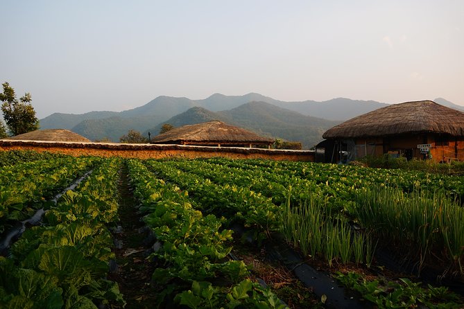 Andong Hahoe Village [UNESCO site] Premium Private Tour from Seoul - Price and value for a private UNESCO day trip from Seoul