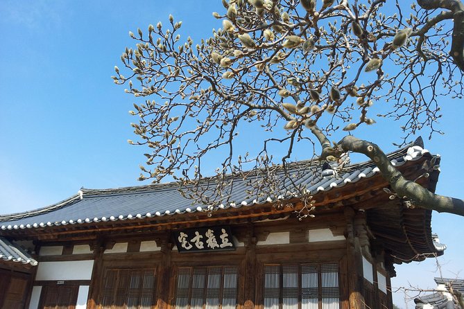 Andong Hahoe Village [UNESCO site] Premium Private Tour from Seoul - What to pack and how to pace a long countryside day