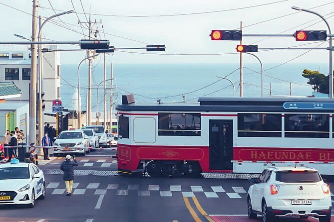 Authentic Busan Full-Day City Highlights Tour - Key Highlights You Actually Feel During the Day