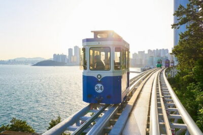 Authentic Busan Full-Day City Highlights Tour