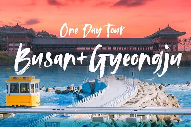 Authentic Busan Full-Day City Highlights Tour - Should You Book This One-Day Busan Tour?