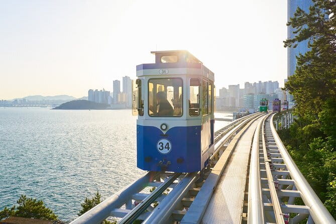 Authentic Busan Full-Day City Highlights Tour - Cheongsapo Daritdol and the Green Railway Walk