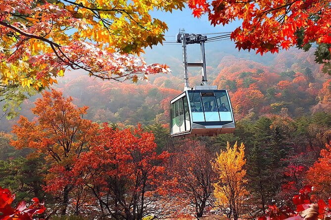 Autumn Foliage-Mt. Seorak, Sokcho Fish Market, Sokcho Beach - Key highlights worth knowing