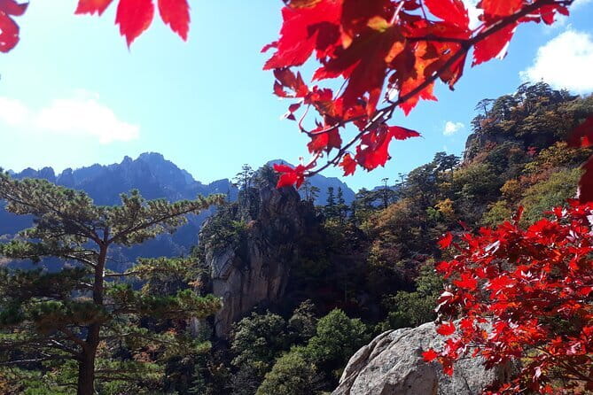 Autumn Foliage-Mt. Seorak, Sokcho Fish Market, Sokcho Beach - Price, Time, and What You Really Get for $68