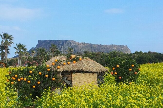 Beautiful Jeju Island Private UNESCO day Tour - Key things to love about this Jeju private day