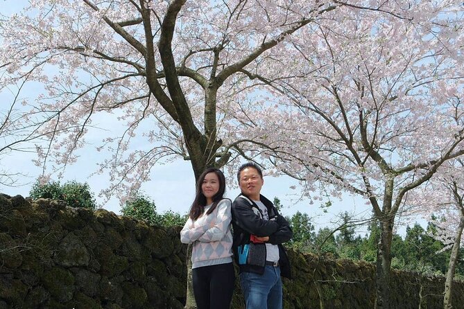 Beautiful Jeju Island Private UNESCO day Tour - Getting picked up, staying private, and the driver role