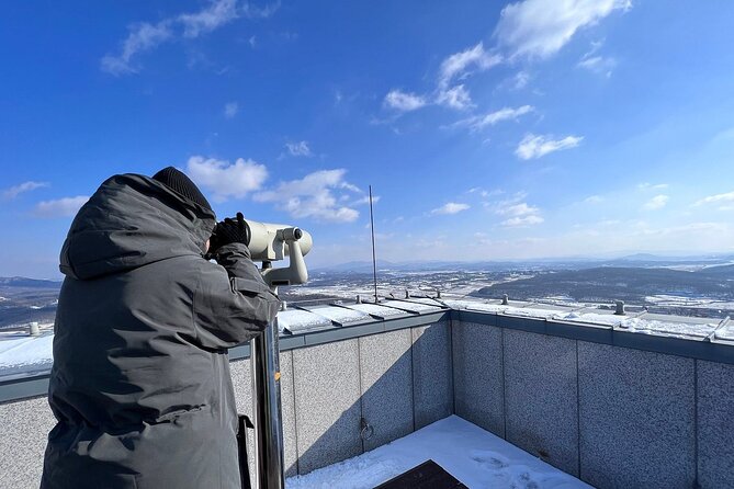 Best 2 Days Guided DMZ and Seoul City Tours from Seoul - DMZ Theater and Dorasan Observatory: Context, Then Views