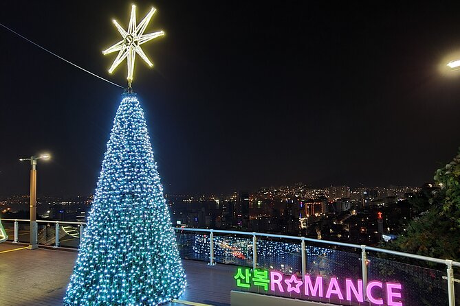 Best Busan night views : Mountain observatory streets - Price and value: why $55 makes sense for this kind of small-group night viewing