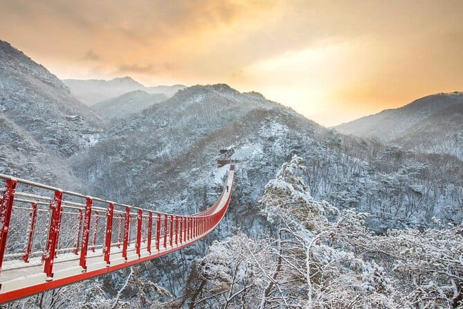 Best Korea DMZ Private Tour from Seoul (and Suspension Bridge) - Why the Seoul DMZ Day Feels Like More Than a Sightseeing Trip