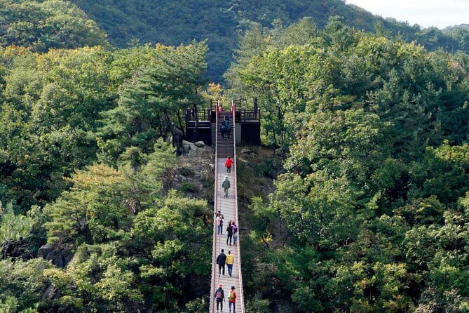 Best Korea DMZ Private Tour from Seoul (and Suspension Bridge) - Price and Value: Is $245 a Fair Deal for This Private Format?