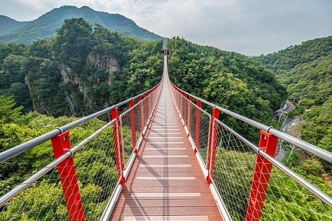 Beyond Seoul: Starfield Library, Hwaseong Fortress & Cave Quest - Who This Suwon Day Trip Fits Best