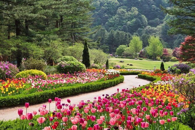BTS Army Fan Day Tour from Seoul (Follow K-Pop Star Footsteps) - Stop 1, Yongin Daejanggeum Park: Where You Start With a Story World