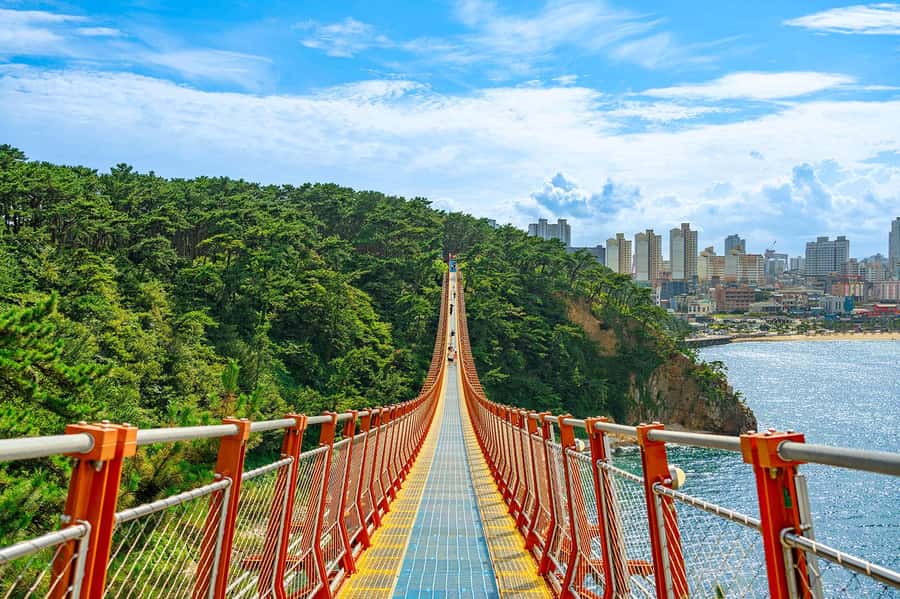 Busan: 7 Highlights Gyeongju City One Day Tour - Key highlights to look forward to
