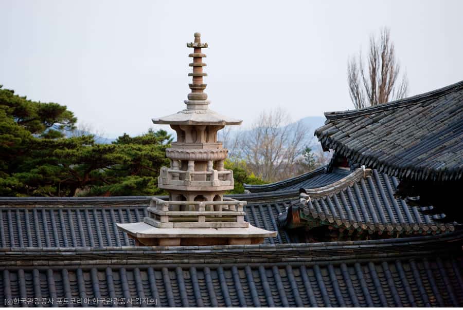 Busan: 7 Highlights Gyeongju City One Day Tour - Daereungwon: Silla tumuli, protected relics, and a whole lot of stone