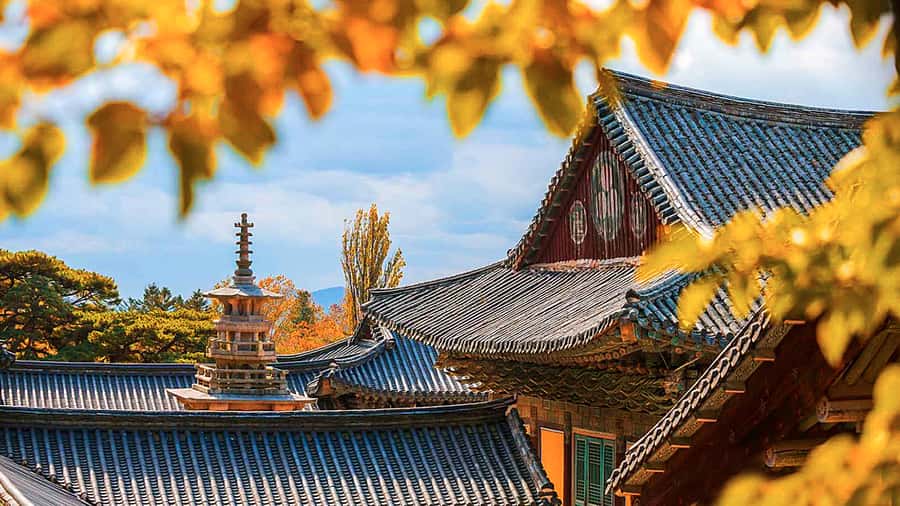 Busan: 7 Highlights Gyeongju City One Day Tour - Cheomseongdae, the oldest astronomical observatory in Asia